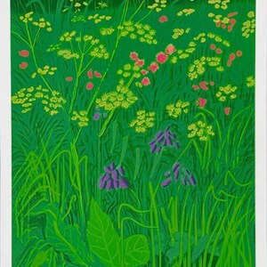 Puede incluir: Una vibrante impresión de un campo de flores silvestres de David Hockney. La obra presenta hierba verde, flores amarillas y rosas, y campanillas moradas. El nombre del artista y la ubicación, Salts Mill, Saltaire, Yorkshire, están impresos en la parte inferior.
