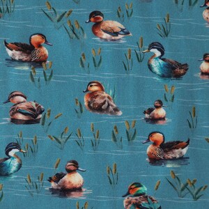 Close up View of Duck Print Long Sleeved Swing Dress in Blue