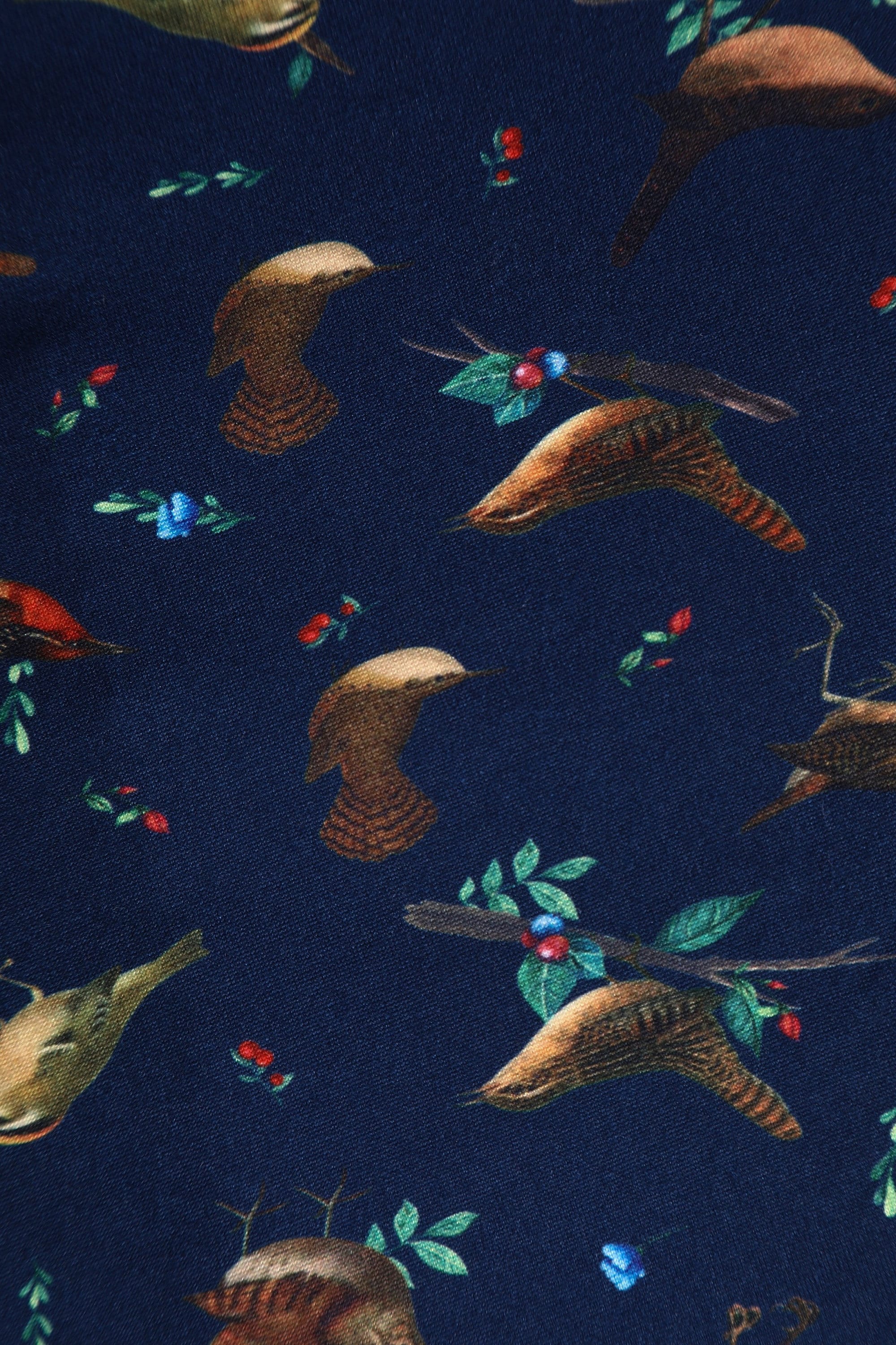blue bird print dress Off-White Flowerful Birds Lenzing™ Ecovero™ Euroflax™ Midi Dress – FARM Rio main image 0