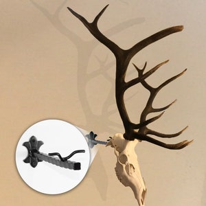 Bull Bracket by Skull Bracket, world's strongest skull hanger for big elk. Oil Rubbed Bronze. Made in USA.