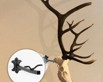 Bull Bracket by Skull Bracket, world's strongest skull hanger for big elk. Oil Rubbed Bronze. Made in USA.