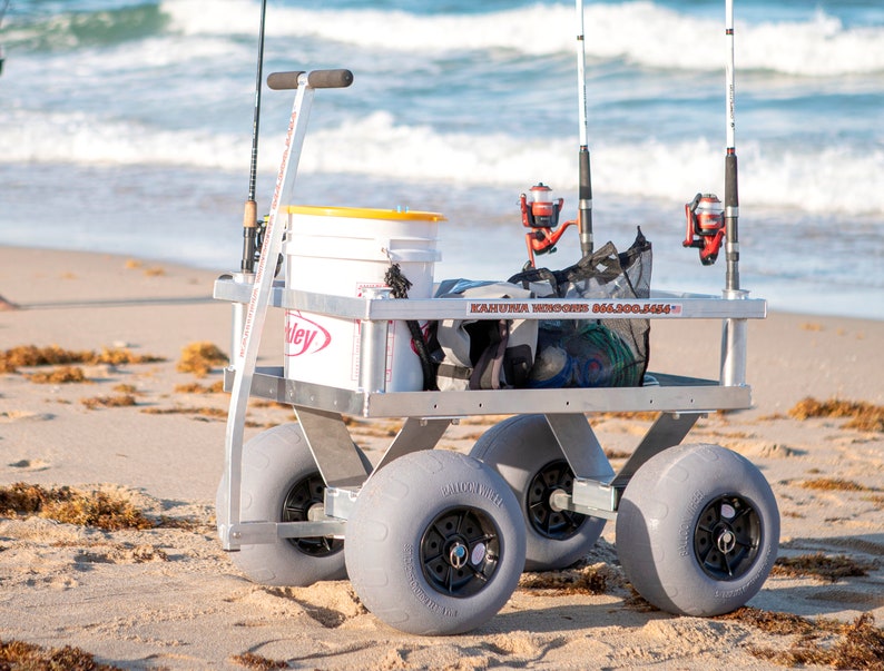 Calypso Cruiser Beach Wagon image 1