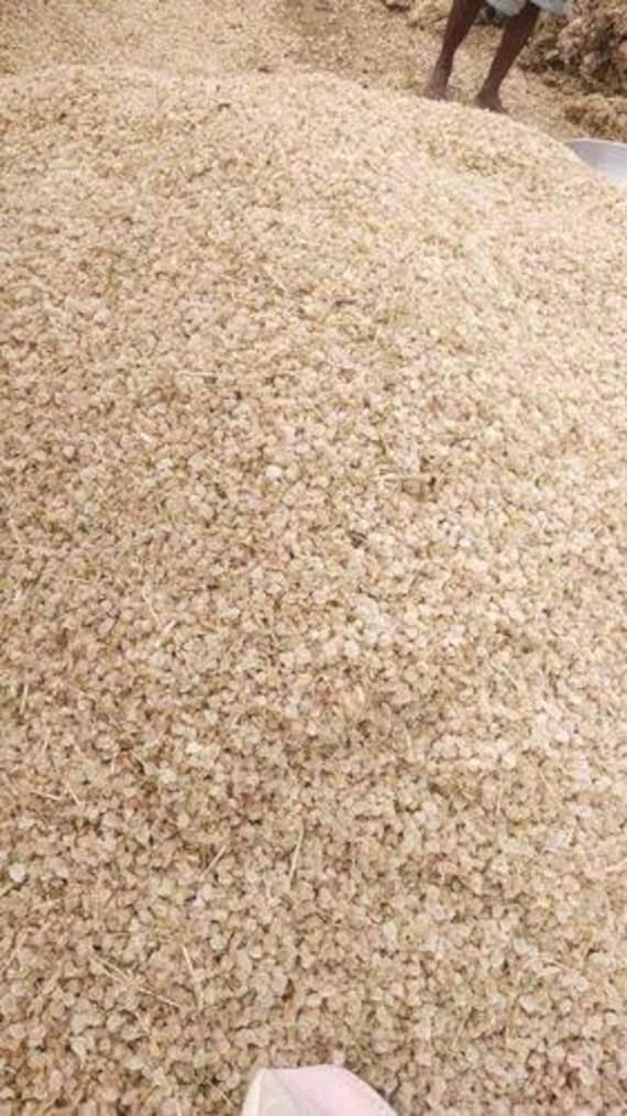 Organic Chukkakura Seeds Bulk