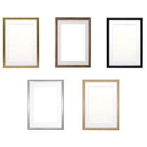 Op de afbeelding: Vijf fotolijsten in verschillende kleuren en stijlen. De lijsten zijn allemaal even groot en hebben dezelfde vorm. Ze zijn in een rij gerangschikt, met de gouden lijst links, gevolgd door de bruine lijst, de zwarte lijst, de zilveren lijst en de natuurlijke houten lijst rechts.