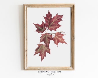 Botanical Autumn Leaves Print | Colorful Fall Leaves | Printable Wall Art | Instant Digital Download
