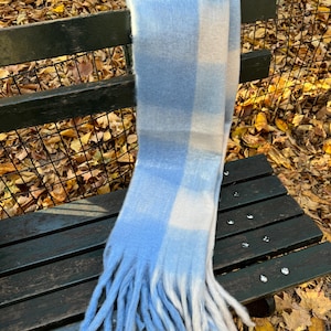 May include: A soft, blue and white plaid scarf with fringe detail. The scarf is draped over a park bench, with fall leaves in the background. The scarf's color palette includes shades of light blue and white.