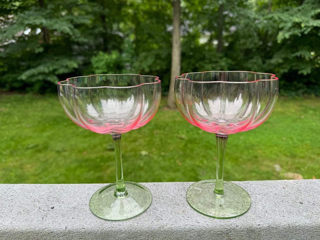 Beautiful Anthropologie Green & Pink Set of 2 Flower Morro