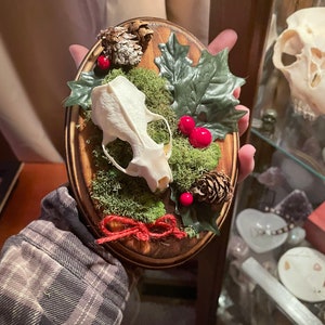 holiday mink mount