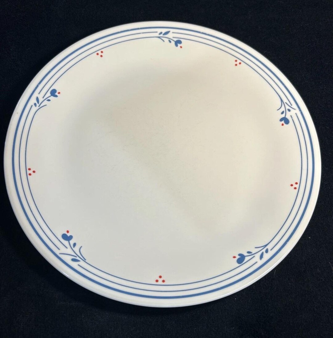 2 Corelle Dinner Plate 10 1/4