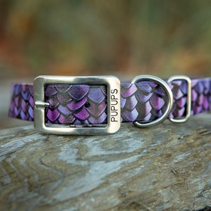 Purple Dragon BioThane Dog Collar - Custom Waterproof Dog Collar - Dog Owner Gift