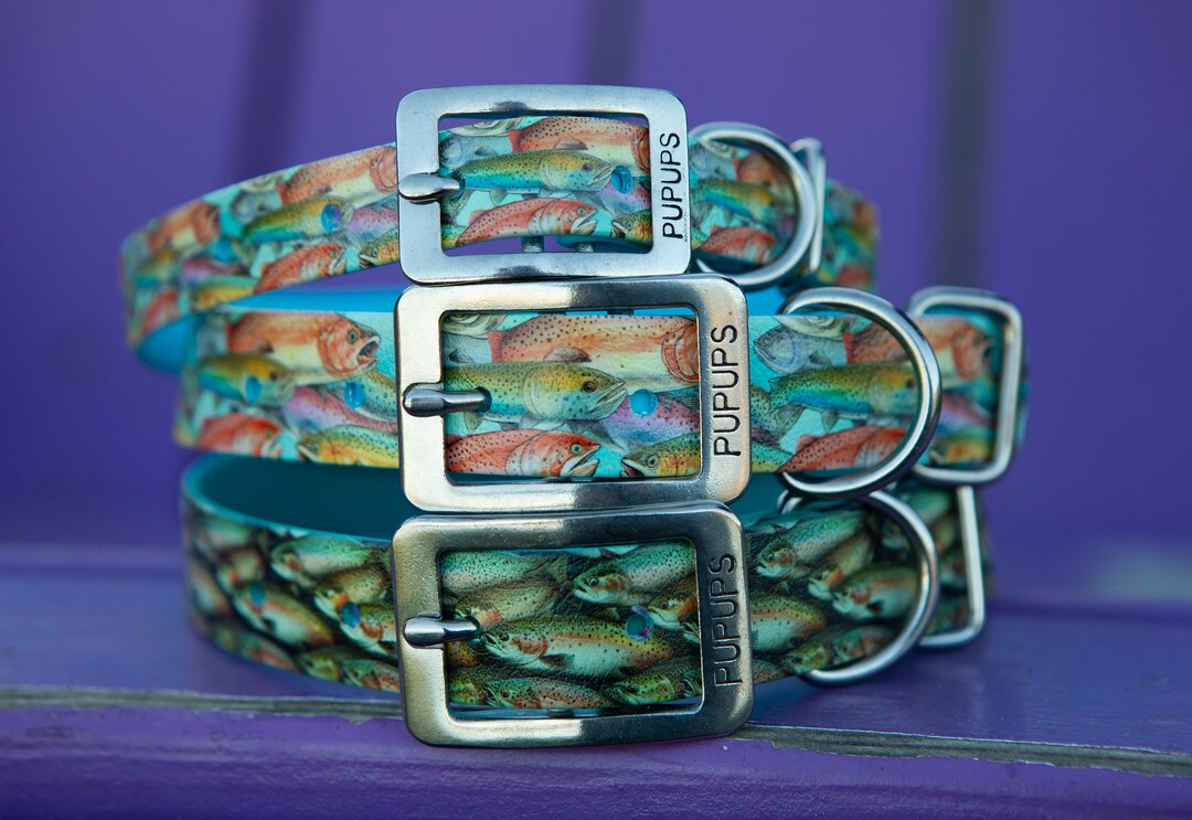 Rainbow Trout Biothane Dog Collar Custom Waterproof Dog Etsy UK