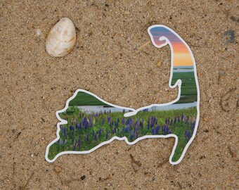 ケープコッドの日の出ステッカー • フォートヒルのルピナスの写真ステッカー • 防水ビニール国立海岸デカール • ニューイングランドの自然風景