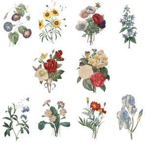 May include: A collection of vintage botanical illustrations featuring various flowers. The image showcases detailed drawings of blooms in a range of colors, including blue, yellow, red, and white. The arrangements vary, with some depicting single stems and others, bouquets.