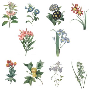 May include: A collection of ten watercolor illustrations of various flowers, including pink and red blossoms, blue and purple flowers, and yellow flowers.