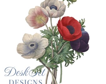 Flower Clipart Botanical Illustration PNG and JPEG Files, journalling, collage, Digital Prints, floral prints, wall print,Card Making
