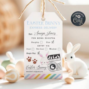 Osterhase Express Lieferung Geschenkanhänger Vorlage, druckbarer Osterkorb Favor Tag, bearbeitbare Osterhase Courier Mail, Sofort Download