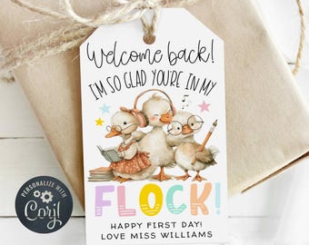 May include: A gift tag with a watercolor illustration of three ducks wearing glasses and headphones. The tag reads "Welcome back! I'm so glad you're in my flock! Happy first day! Love Miss Williams."