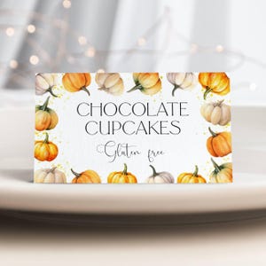 Kleine Kürbis-Babyparty-Lebensmitteletikettenvorlage, druckbare Herbstparty-Tischkarten, bearbeitbare Herbstdusche-Tischkarten, sofortiger Download, #LPS