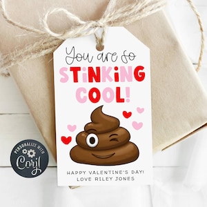 May include: A white gift tag with the text "You are so STINKING COOL!" in pink and red. A cartoon poop emoji with a winking eye and hearts is featured. The tag is tied to a wrapped gift with twine.