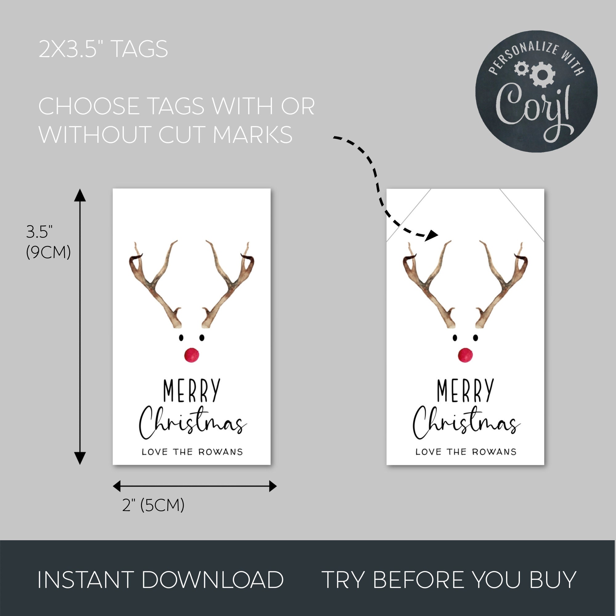Reindeer Christmas Gift Tag Template, Printable Cute Holiday Favor Tag ...
