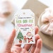 Won-doh-ful Christmas Gift Tag Template, Printable Classroom Stocking ...