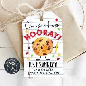 Puede incluir: Una etiqueta de regalo con una ilustración de galleta sonriente sosteniendo un lápiz, con las palabras "Chip chip HOORAY!" y "It's Testing Day!" impresas. La etiqueta está atada a un regalo envuelto con hilo.