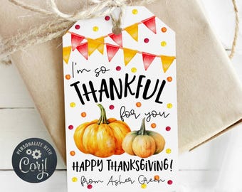 School Thanksgiving Gift Tag Template, Printable Fall Favor Tags, Editable Thankful For You Pumpkins Teacher Gift Tag, Digital Download