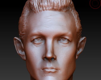 Terminator 2 ROBERT PATRICK 1:1 scale bust