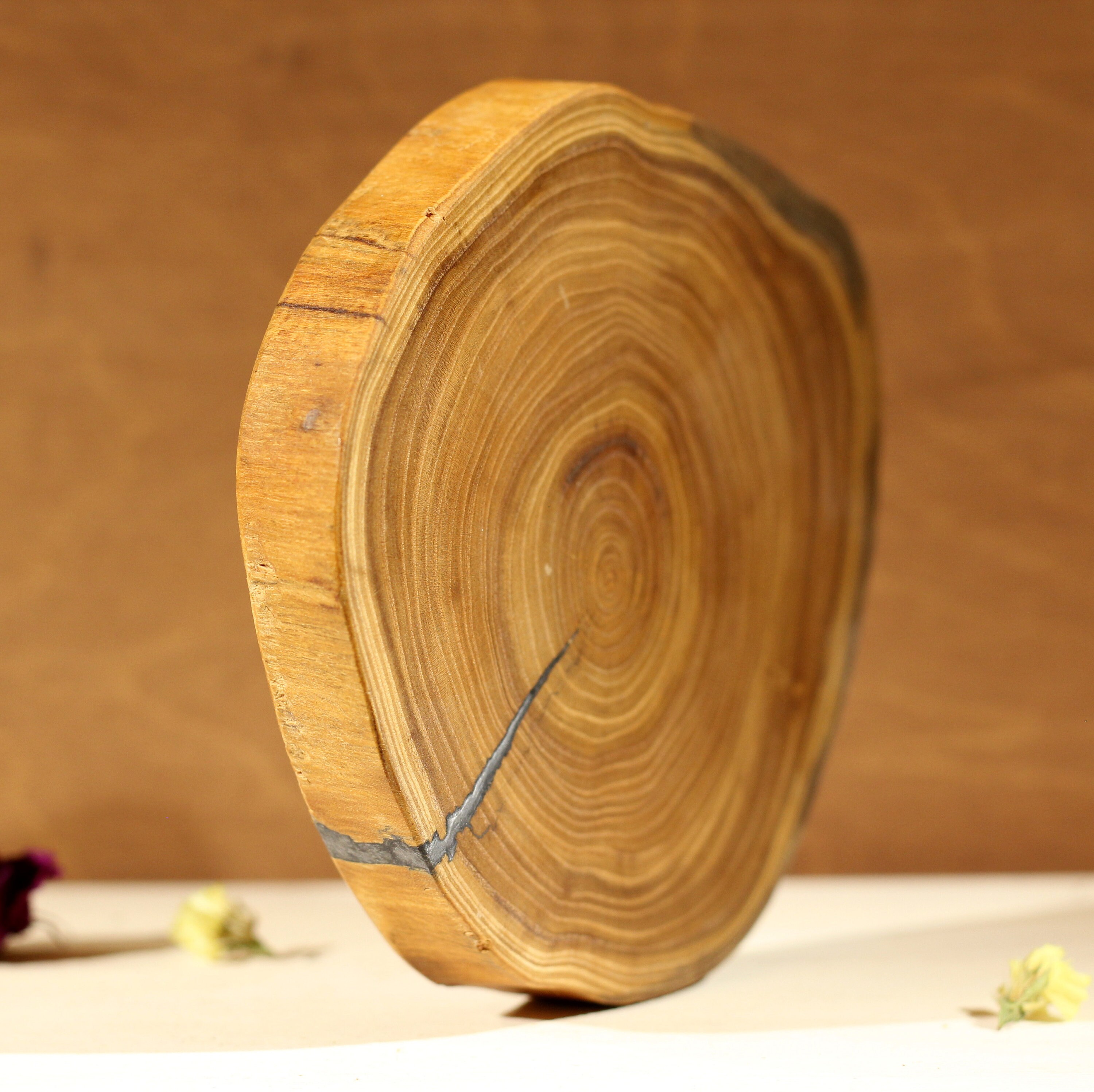 Epoxy Round Serving Board Elm Wood Small Slab Cutting Board Etsy