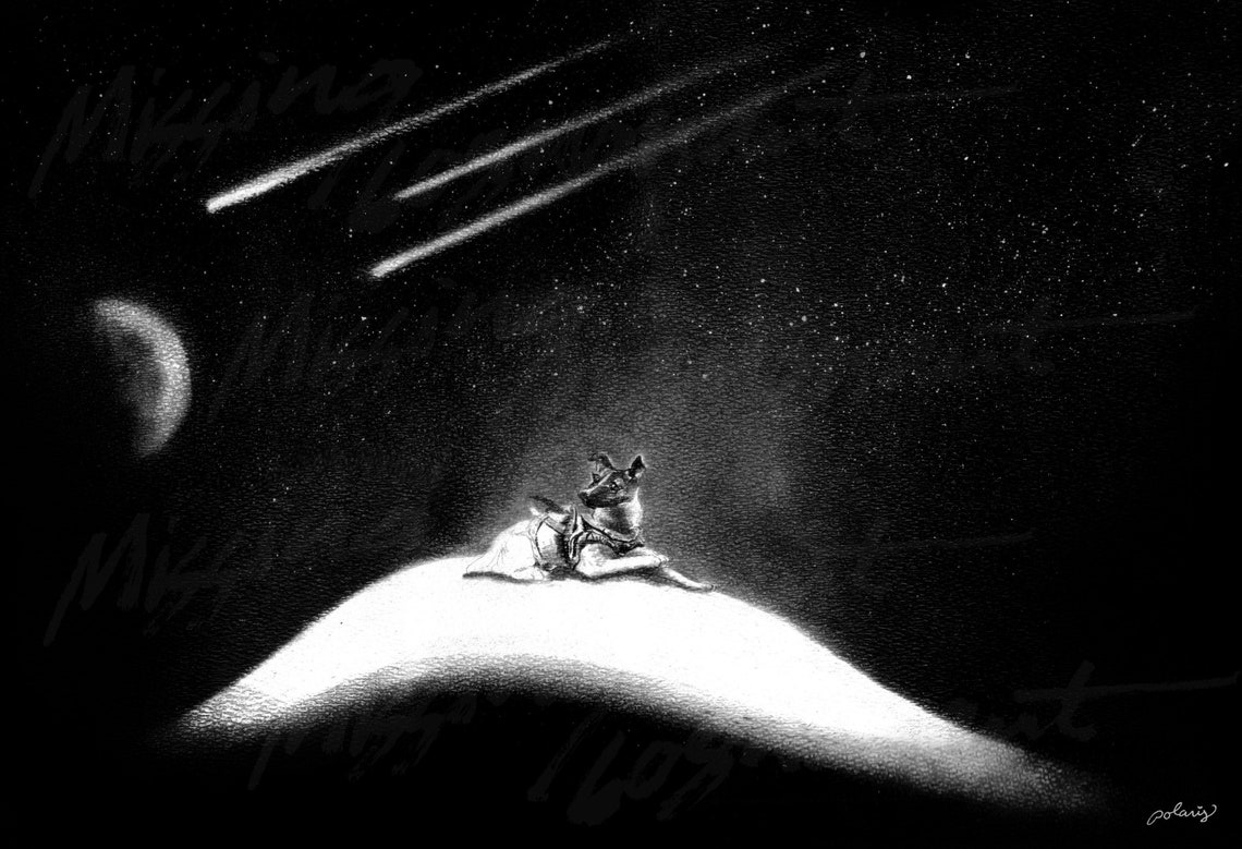 Laika Eerste hond in de ruimte Matte print Astronaut | Etsy