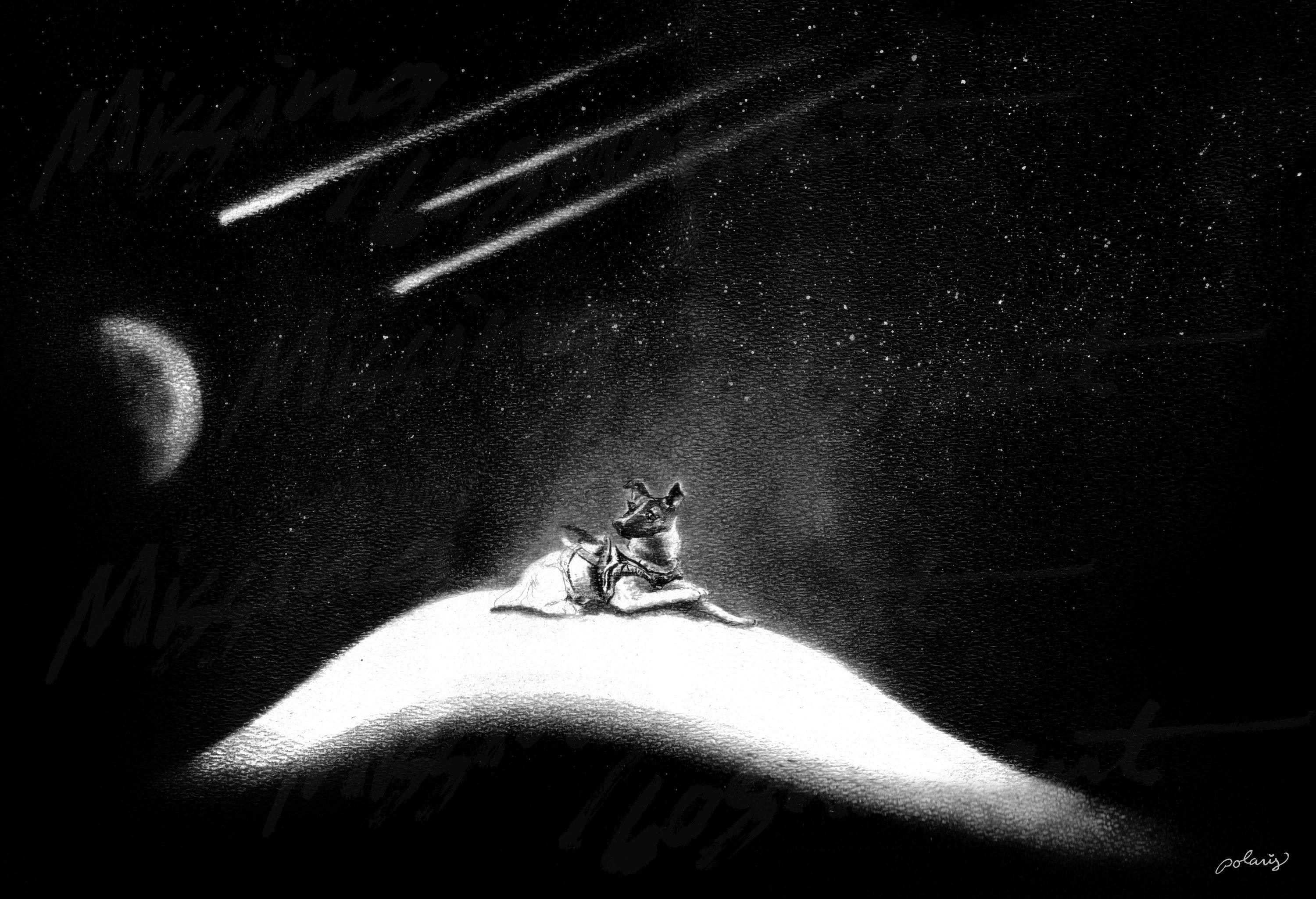 Laika Eerste hond in de ruimte Matte print Astronaut Etsy