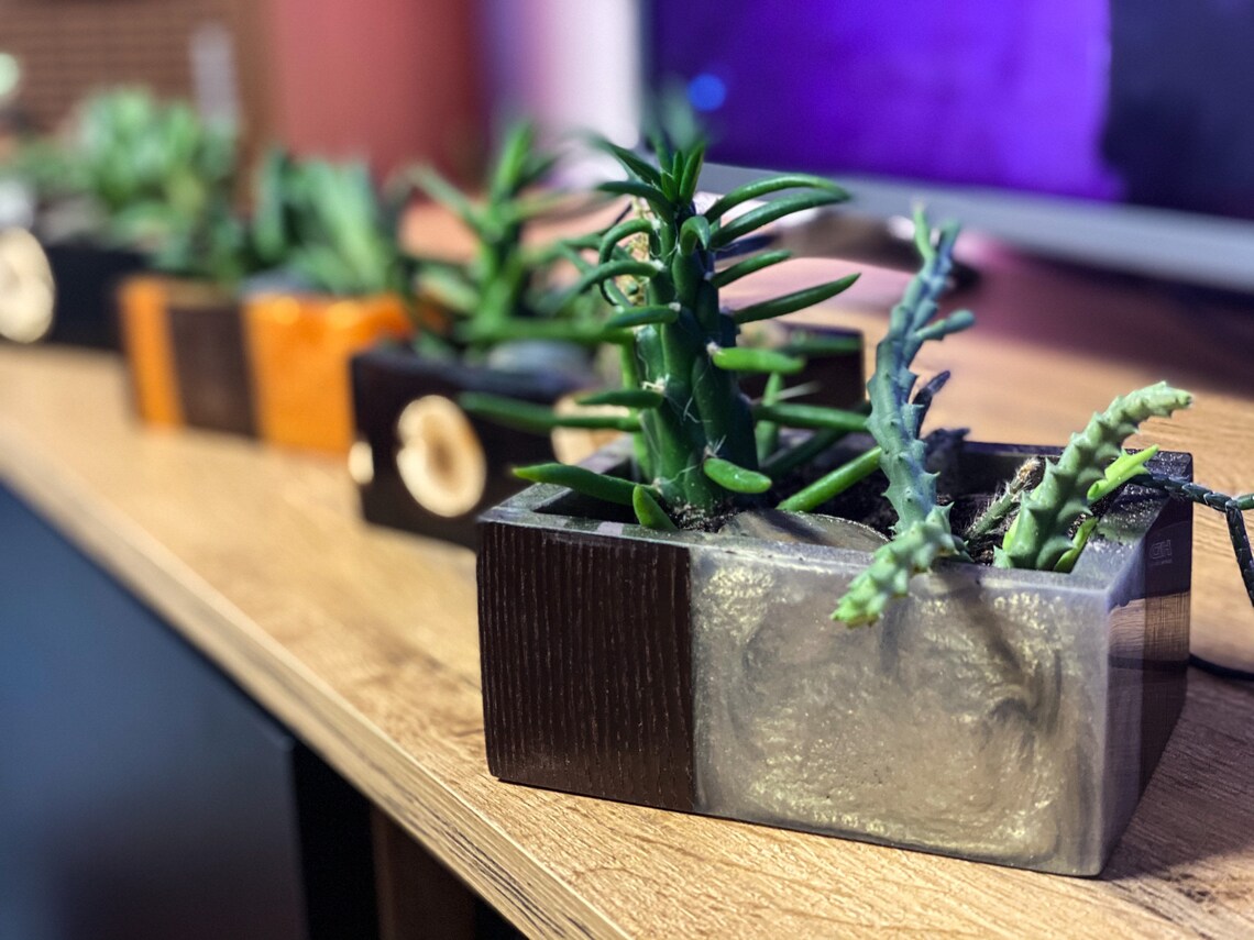 Epoxy Resin Planters / Planter for Your Favourite Plants / Etsy