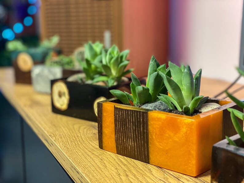 Epoxy Resin Planters / Planter for Your Favourite Plants / Etsy
