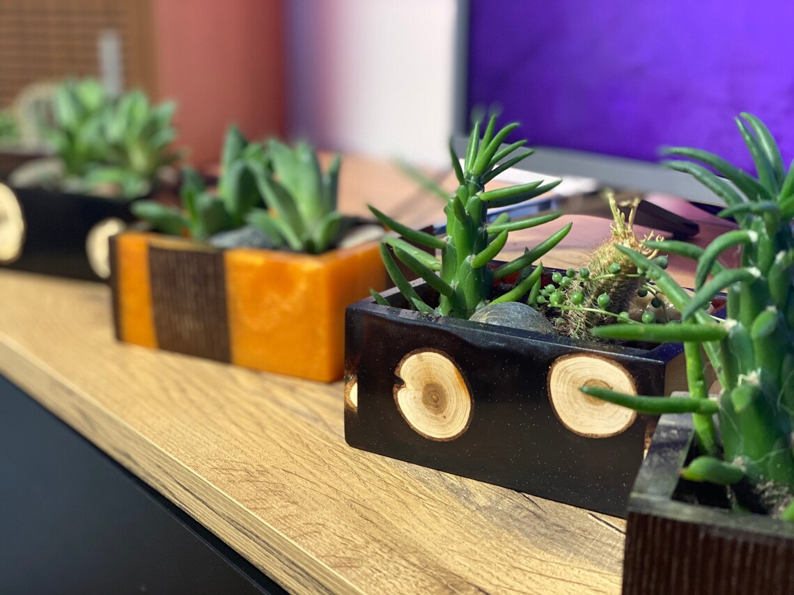 Epoxy Resin Planters / Planter for Your Favourite Plants / Etsy
