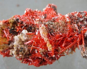 May include: A raw mineral specimen featuring a cluster of vibrant, needle-like red crystals. The structure is irregular, with bright crimson, elongated formations interspersed with patches of textured, earthy beige and dark grey mineral matrix.