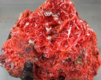 May include: A vibrant red mineral specimen featuring a dense cluster of needle-like crystalline structures. The formation displays a brilliant scarlet hue with small patches of dark, earthy matrix visible at the base and scattered throughout the surface.