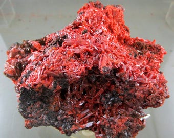 May include: A mineral specimen featuring a cluster of vibrant, bright red crystalline structures growing from a dark, textured, and irregular base. The crystalline formation displays sharp, needle-like points and a dense, jagged surface texture.