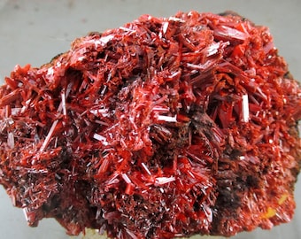 May include: A cluster of vibrant red, needle-like crystals forming a dense, jagged mineral specimen. The structure features numerous thin, elongated prismatic formations with a glossy, reflective surface texture and deep crimson coloration throughout.