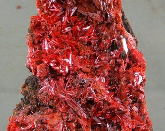 May include: A mineral specimen featuring a dense cluster of vibrant, translucent red needle-like crystals growing on a dark, textured matrix. The crystalline structure displays a brilliant, reflective surface with sharp, elongated formations.