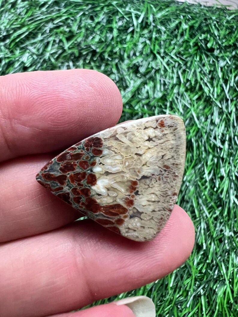 Puede incluir: Una piedra triangular pulida con un patr&oacute;n &uacute;nico. La piedra presenta una mezcla de colores, incluyendo marr&oacute;n, crema y rojo oscuro. La textura parece ser una mezcla de suave y rugoso, con un tacto natural y org&aacute;nico. La piedra se sostiene en una mano sobre un fondo verde.