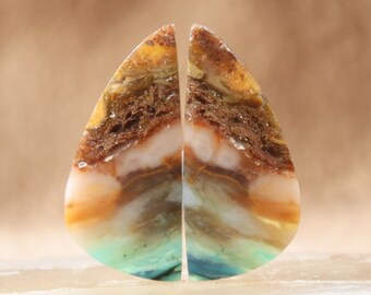 Blue Opalized Wood Pair (27.12.3 mm, 2.82 grm)