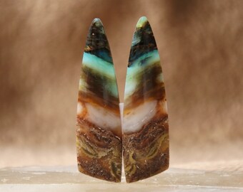 Blue Opalized Wood Pair