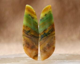 Blue Opalized Wood Cabochon Pairs