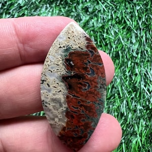 Könnte beinhalten: Ein polierter Edelstein in Blattform. Der Stein zeigt eine Mischung aus Farben, darunter Weiß, Braun, Rot und Dunkelgrün. Das Muster ähnelt einer Landschaft oder einem abstrakten Design. Der Edelstein wird in einer Hand gehalten.