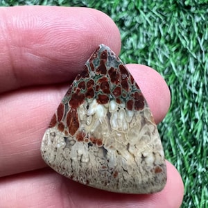 Feder Chrysokoll Java Jaspis Cabochon.Größe 28.23.5 mm.Gewicht 4.90 grm