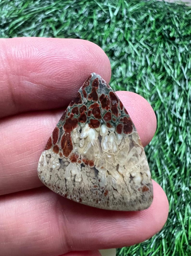 Puede incluir: Una gema triangular pulida con un patr&oacute;n &uacute;nico. La parte superior presenta un dise&ntilde;o moteado en tonos marrones y verdes, que se fusiona con una secci&oacute;n inferior beige y blanca. La piedra se sostiene entre los dedos.