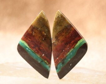 Blue Opalized Wood Pair (28.14.3 mm, 4.11 grm)