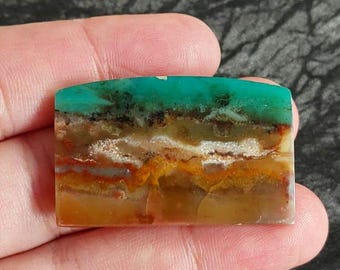 Natural Blueopalizedwood cabochone