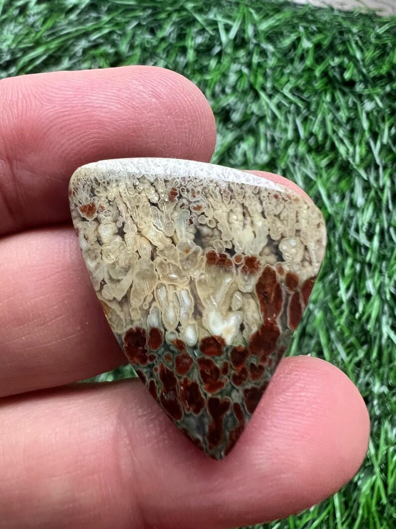 Puede incluir: Una gema triangular con un patr&oacute;n &uacute;nico de tonos beige, blanco y rojo intenso. La superficie de la piedra tiene una apariencia texturizada, con una mezcla de dise&ntilde;os moteados y veteados. La gema se sostiene entre los dedos sobre un fondo verde.