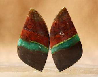 Blue Opalized Wood Cabochon Pairs (22.11.3 mm)